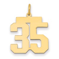 14K Yellow Gold Medium Polished Number 35 Charm view 1