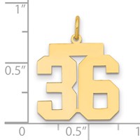 14K Yellow Gold Medium Polished Number 36 Charm view 2