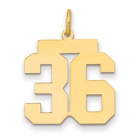 14K Yellow Gold Medium Polished Number 36 Charm view 1