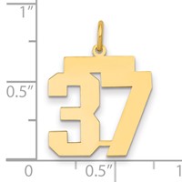 14K Medium Polished Number 37 Charm view 2