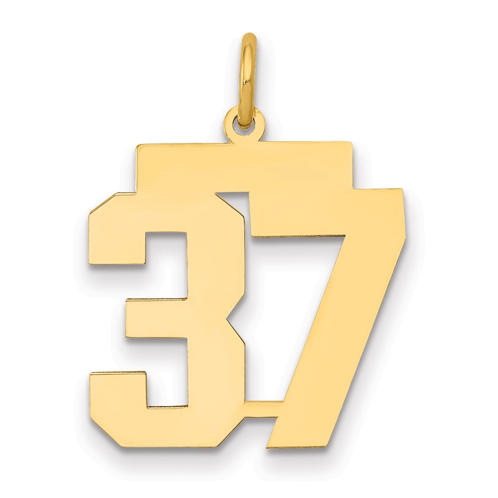 14K Medium Polished Number 37 Charm
