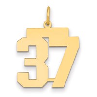 14K Medium Polished Number 37 Charm view 1
