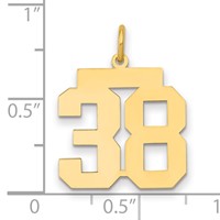 14K Yellow Gold Medium Polished Number 38 Charm view 2