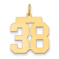 14K Yellow Gold Medium Polished Number 38 Charm view 1
