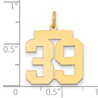 14K Yellow Gold Medium Polished Number 39 Charm view 2