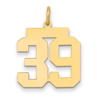 14K Yellow Gold Medium Polished Number 39 Charm view 1