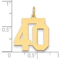 14K Yellow Gold Medium Polished Number 40 Charm view 2