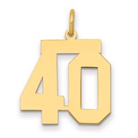 14K Yellow Gold Medium Polished Number 40 Charm view 1