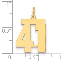 14K Yellow Gold Medium Polished Number 41 Charm view 2