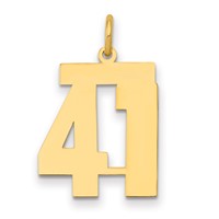 14K Yellow Gold Medium Polished Number 41 Charm view 1