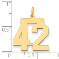 14K Yellow Gold Medium Polished Number 42 Charm view 2