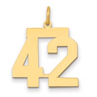 14K Yellow Gold Medium Polished Number 42 Charm view 1