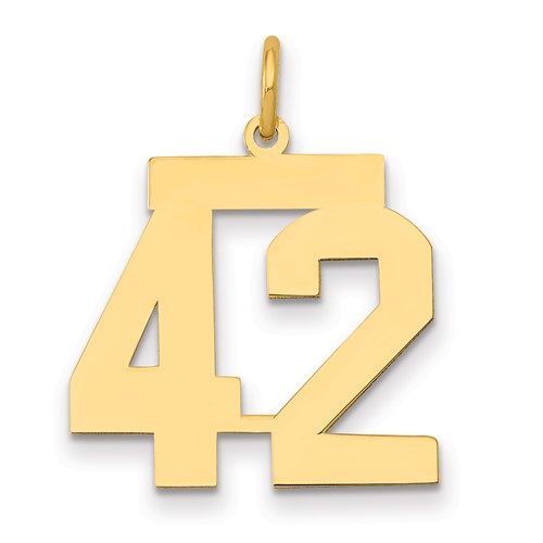 14K Yellow Gold Medium Polished Number 42 Charm