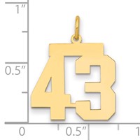 14K Yellow Gold Medium Polished Number 43 Charm view 2