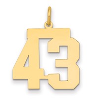 14K Yellow Gold Medium Polished Number 43 Charm view 1