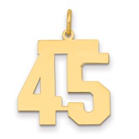 14K Yellow Gold Medium Polished Number 45 Charm view 1