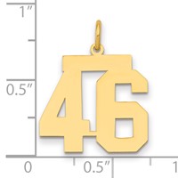 14K Yellow Gold Medium Polished Number 46 Charm view 2