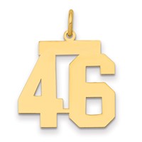 14K Yellow Gold Medium Polished Number 46 Charm view 1