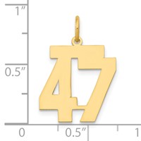 14K Medium Polished Number 47 Charm view 4