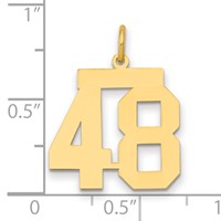 14K Yellow Gold Medium Polished Number 48 Charm view 2