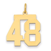 14K Yellow Gold Medium Polished Number 48 Charm view 1