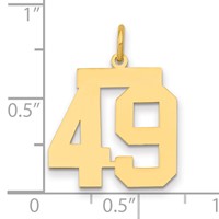14K Medium Polished Number 49 Charm view 2
