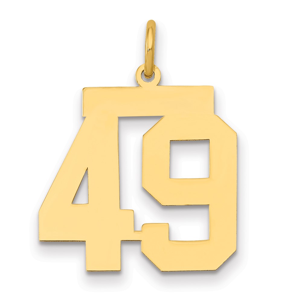 14K Medium Polished Number 49 Charm