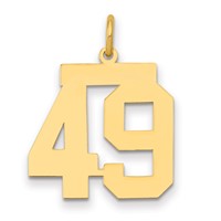 14K Medium Polished Number 49 Charm view 1