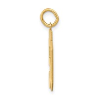 14K Yellow Gold Medium Polished Number 50 Charm view 2