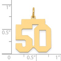 14K Yellow Gold Medium Polished Number 50 Charm view 4