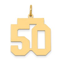 14K Yellow Gold Medium Polished Number 50 Charm view 1