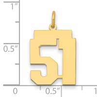 14K Medium Polished Number 51 Charm view 2