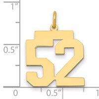 14K Yellow Gold Medium Polished Number 52 Charm view 2