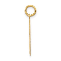 14K Yellow Gold Medium Polished Number 53 Charm view 2