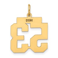 14K Yellow Gold Medium Polished Number 53 Charm view 3