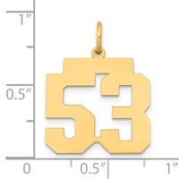 14K Yellow Gold Medium Polished Number 53 Charm view 4