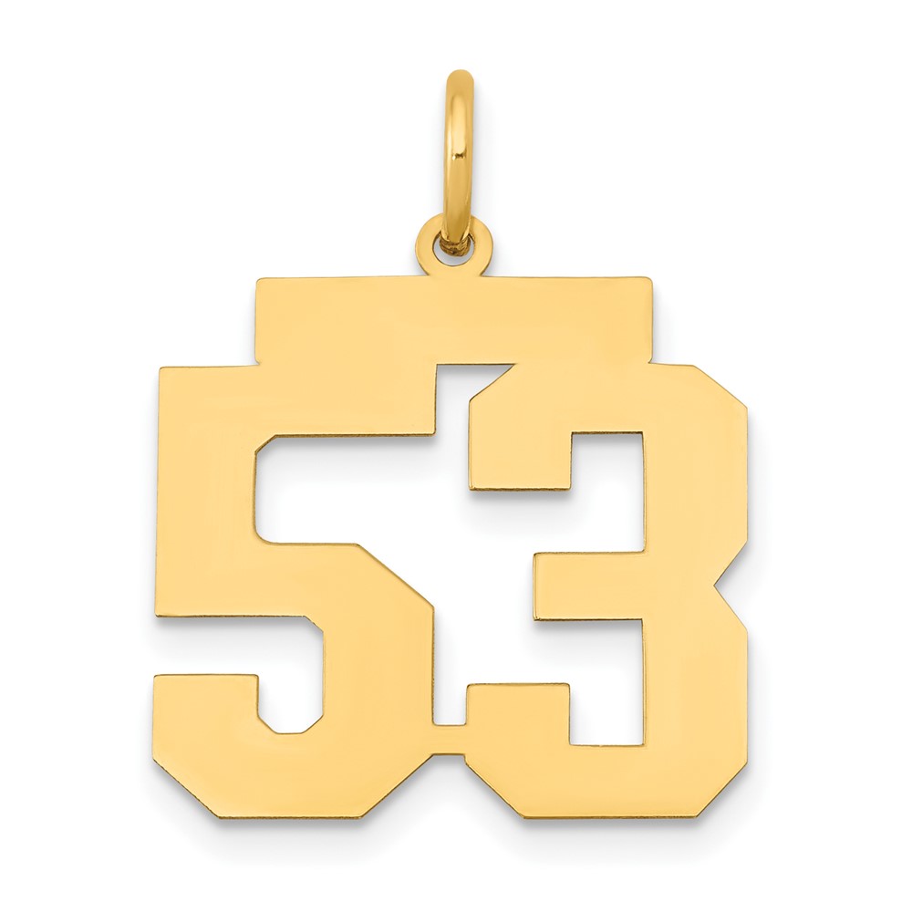 14K Yellow Gold Medium Polished Number 53 Charm