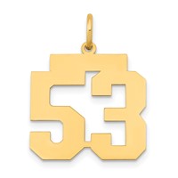 14K Yellow Gold Medium Polished Number 53 Charm view 1