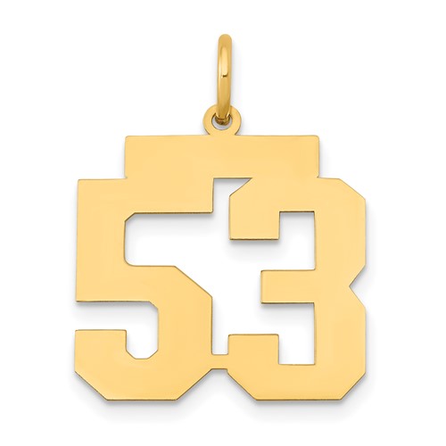 14K Yellow Gold Medium Polished Number 53 Charm