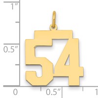 14K Yellow Gold Medium Polished Number 54 Charm view 2