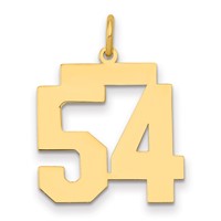 14K Yellow Gold Medium Polished Number 54 Charm view 1