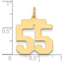 14K Yellow Gold Medium Polished Number 55 Charm view 2