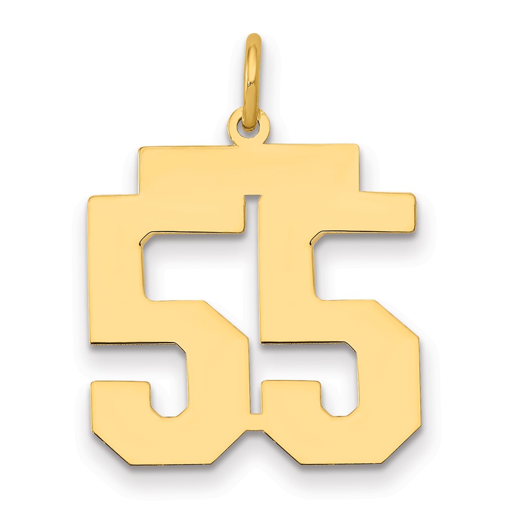14K Yellow Gold Medium Polished Number 55 Charm