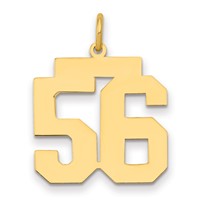 14K Yellow Gold Medium Polished Number 56 Charm view 1