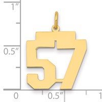 14K Yellow Gold Medium Polished Number 57 Charm view 2