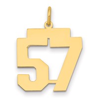 14K Yellow Gold Medium Polished Number 57 Charm view 1