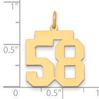 14K Yellow Gold Medium Polished Number 58 Charm view 2