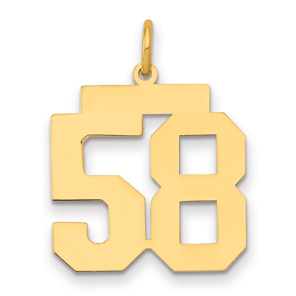 14K Yellow Gold Medium Polished Number 58 Charm