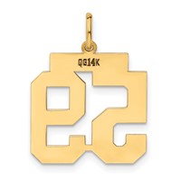 14K Yellow Gold Medium Polished Number 59 Charm view 3