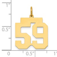 14K Yellow Gold Medium Polished Number 59 Charm view 4